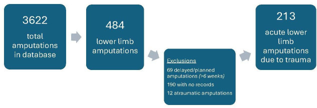 Reoperation and complication rates in acute lower limb amputations due to trauma.