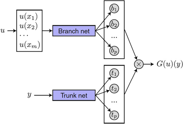 Nonparametric estimation of conditional survival function with time-varying covariates using DeepONet.