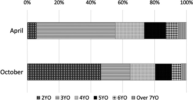 Trends in the prevalence of Gidoh at Japan Racing Association Training Centers in 2020.
