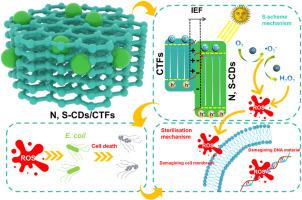 Modulating charge kinetics in CDs/CTF S-scheme hybrids for enhanced H2O2 photosynthesis
