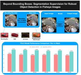 Beyond bounding boxes: Segmentation supervision for robust object detection in fisheye images