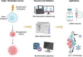 Molecular origin, discovery, validation and application of neoantigens