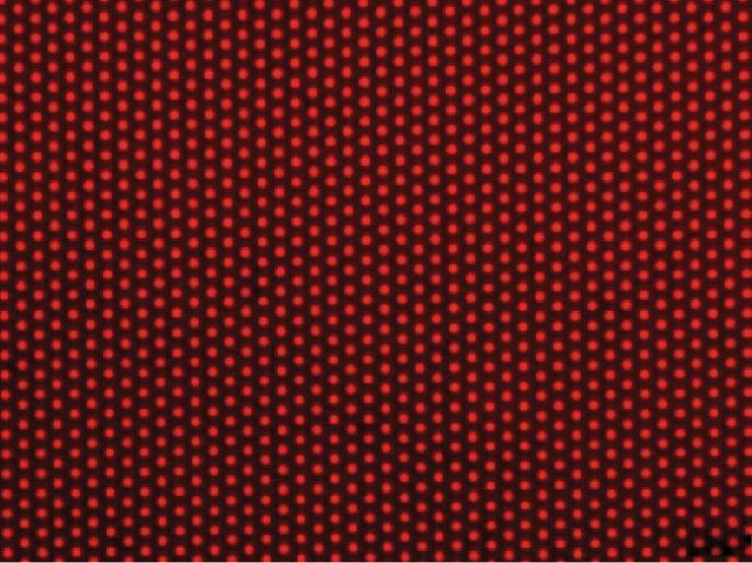 Abstract Image
