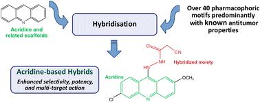 Recent advances in the development of acridine-based hybrids with antiproliferative activity