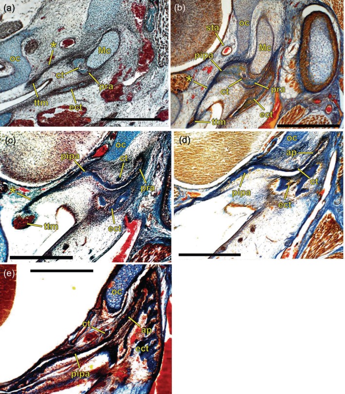 Abstract Image