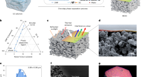 One-step-processed bilayer ethyl cellulose for full-colour sub-ambient daytime radiative cooling