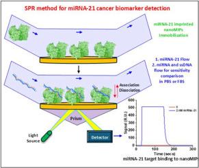 One-Step Detection of miRNA-21 Cancer Marker in Serum using Molecularly Imprinted Nanoparticle Recognition and Surface Plasmon Resonance