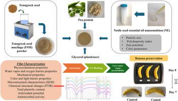 Enhancing postharvest quality and storability of bananas using UV-blocking and antioxidant bionanocomposite coatings enriched with nettle seed essential oil nanoemulsion