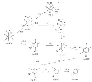 Fe(0)/Fe3O4 mediated hydrolysis of endosulfan and the further transformation of endosulfan diol