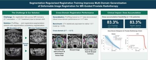 Segmentation regularized training for multi-domain deep learning registration applied to magnetic resonance-guided prostate cancer radiotherapy