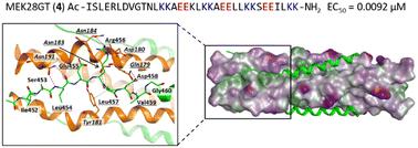 Identification and structure–activity relationship analysis of minimal fusion inhibitors targeting measles virus F protein