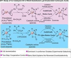 Mechanisms of cobalt-catalyzed asymmetric hydrogenation of multi-substituted α,β-unsaturated carboxylic acids