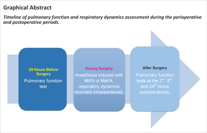 Evaluation of lung dynamics and respiratory functions in patients undergoing minimal flow anesthesia: a prospective, randomized controlled trial.