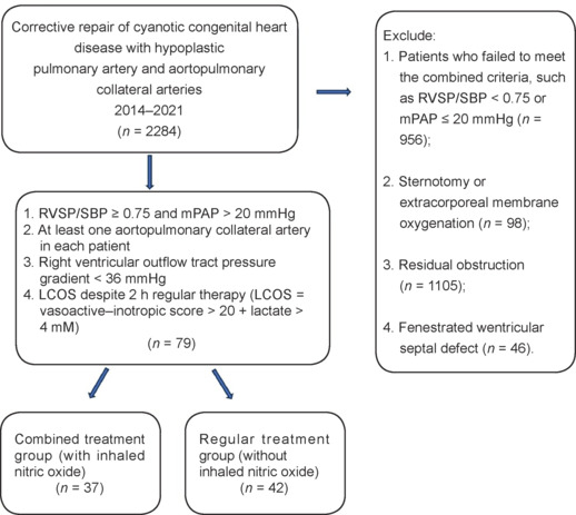 Utility of inhaled nitric oxide for pulmonary hypertension in cyanotic congenital heart disease: a cohort study with propensity score matching.