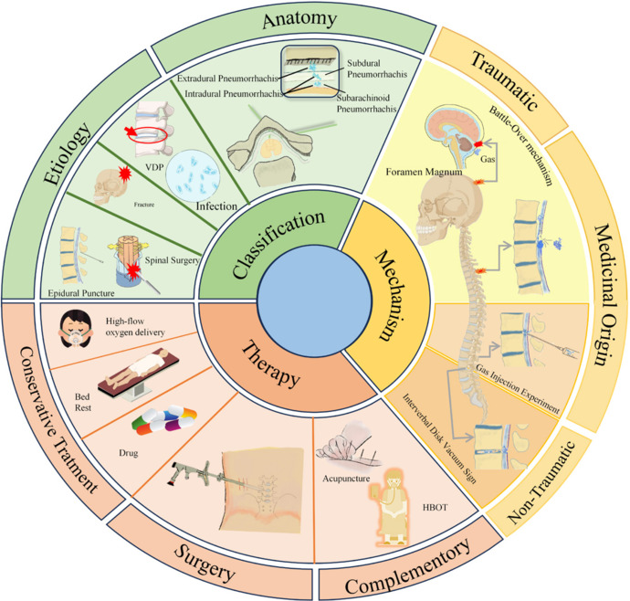 Gas-induced spinal cord compression: mechanisms, diagnosis, and treatment of intraspinous pneumorrhachis.