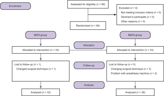 Evaluation of lung dynamics and respiratory functions in patients undergoing minimal flow anesthesia: a prospective, randomized controlled trial.