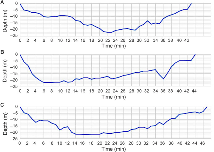 Decompression sickness type II and patent foramen ovale: when a common congenital anomaly becomes a life-threatening risk.