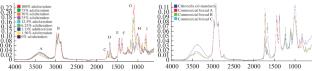 Authentication of Citronella Oil from Turpentine Oil Using Fourier-Transform Infrared Spectroscopy Followed by Principal Component Analysis and Partial Least Squares Regression