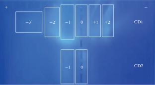 Abstract Image