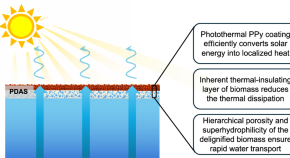 The multi-functional solar interfacial evaporators based on almond shells