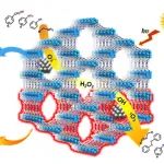 江海龙/金红广/肖娟定Chem. Soc. Rev.：MOFs光/光热催化有机转化