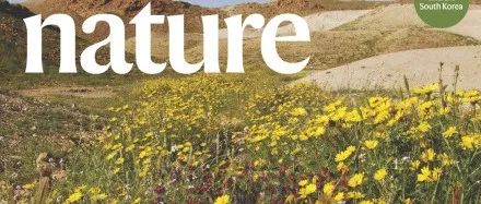 植物生态学再发《Nature》正刊封面文章！挑战传统观点！