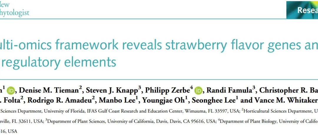 文献分享 | 多组学分析揭示草莓风味关键基因及其调控元件