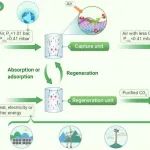 北京理工大学李胜等The Innovation Energy：如何从空气中捕集CO₂