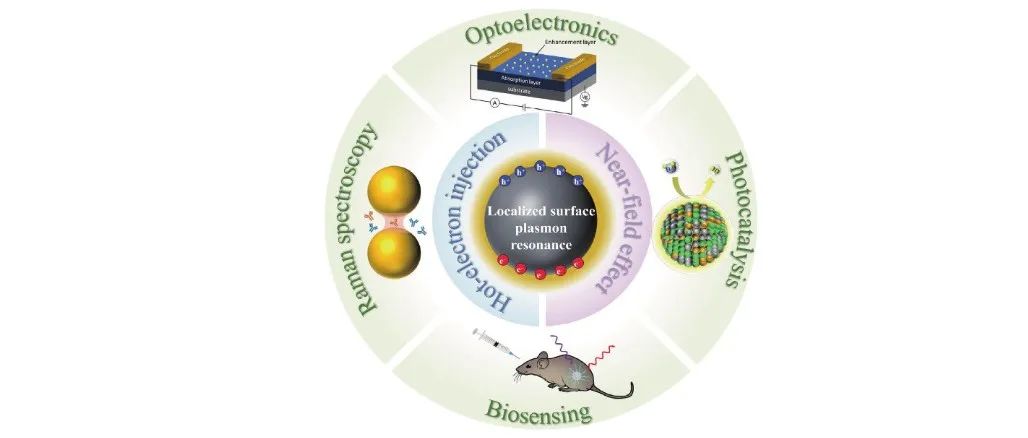 FOP | 综述：局域表面等离激元共振增强型光电探测器：物理模型、增强机制及应用