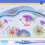 JACS封面：RNA 激活的 CRISPR/Cas12a 纳米机器及其活细胞成像