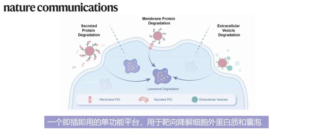 Nat. Commun.|一个即插即用的单功能平台，用于靶向降解细胞外蛋白质和囊泡