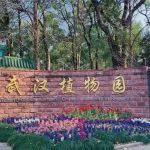 中科院武汉植物园研究员以共同第一和共同通讯作者身份发表Plant Cell