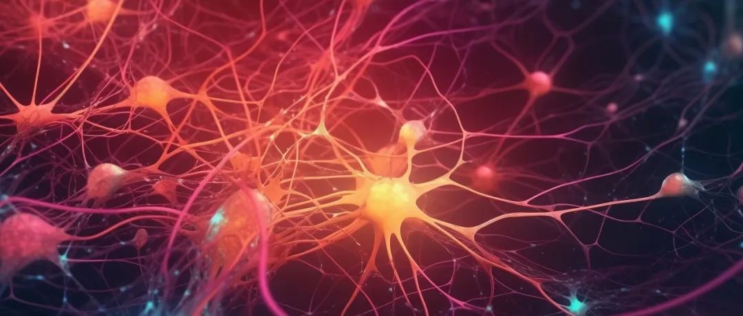 PNAS丨中国科学院刘聪团队发现化学配体与多态性α-突触核蛋白淀粉样原纤维的结合适应性