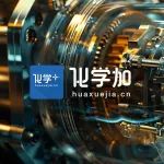 教育部部长怀进鹏：推动高校组建科研大团队，开展跨学科、跨领域协同攻关