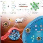 Biomaterials：原位激活仿生单位点生物正交纳米酶以用于肿瘤特异性联合治疗