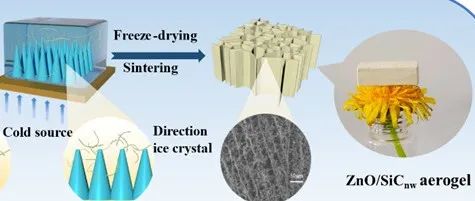 南京工业大学《CEJ》：轻质且隔热的 ZnO/SiCnw气凝胶：一种很有前途的具有抗氧化性的高温电磁波吸收材料