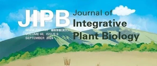 JIPB | Current Issue: Volume 66 Issue 9 2024