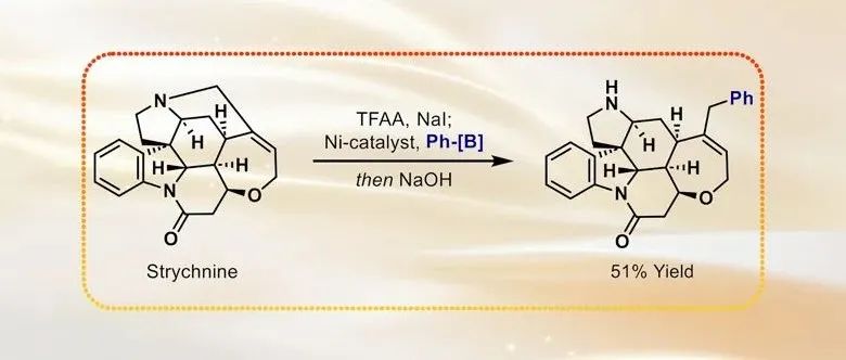利物浦大学Angew. Chem. Int. Ed.：镍催化三级胺的形式C-N偶联反应