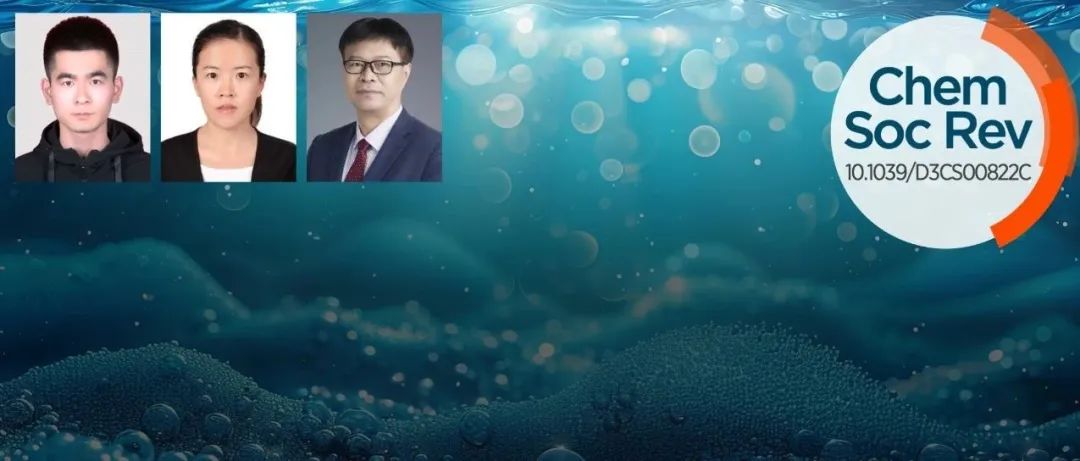 北化工邱介山／大连理工于畅等顶刊综述: 电解海水生产燃料与化学品