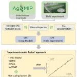 南京农业大学农学院博士生一作在农林科学一区Top期刊发表研究成果！