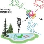 瑞士联邦水环境科学与技术研究所Janssen团队ES&T：湖泊蓝藻毒素五年监测及爆发蓝藻指示代谢物质识别