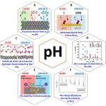 潘洪革/王定胜/瞿永泉Chem. Soc. Rev.：pH效应对氢电催化的影响