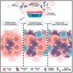 首次实现！吴皓院士最新Cell