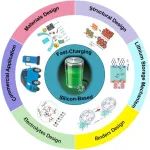 南京工业大学《Carbon》：综述！锂离子电池用快速充电硅基负极的近期现状、关键策略和前景