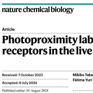 &#8203;Nat. Chem. Bio. | 在活小鼠大脑中内源性受体的光邻近标记