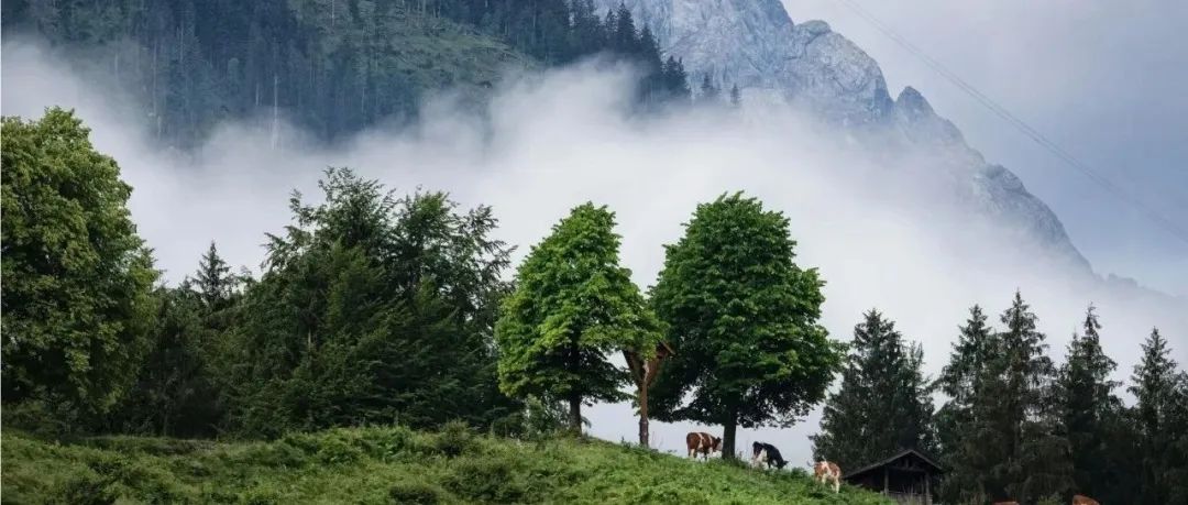 Nature Plants | 华东师范大学郭文永青年研究员团队在入侵生态学取得新突破！