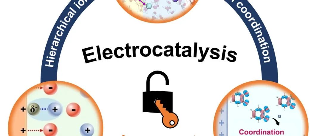 复旦龚鸣团队专题论述：离子效应提升电催化性能的研究进展