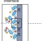 研究进展：微生物-实时生物电子传感 | Nature Reviews Bioengineering