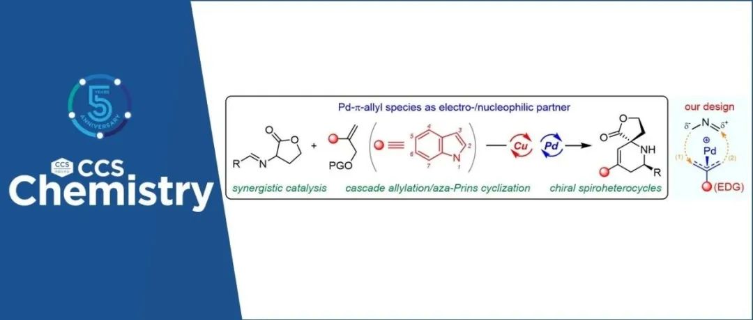 武汉大学王春江/董秀琴和天津大学党延峰团队：双金属协同催化构建手性螺吲哚/哌啶-γ-丁内酯