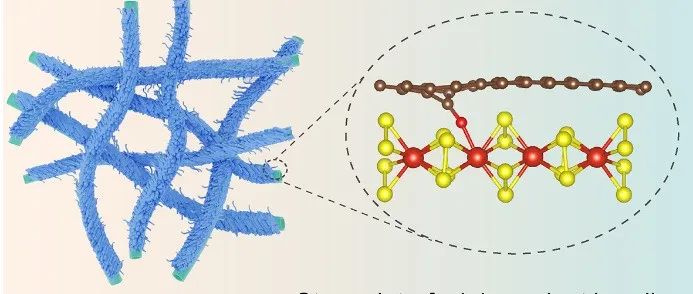 南师大周小四课题组：用于增强储镁性能的碳纳米材料修饰VS4纳米棒的定向组装策略